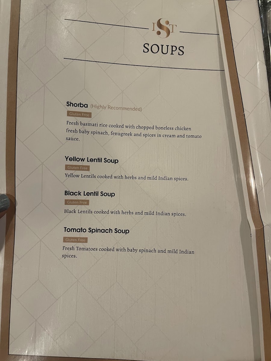Menu Indian Spice Train-10