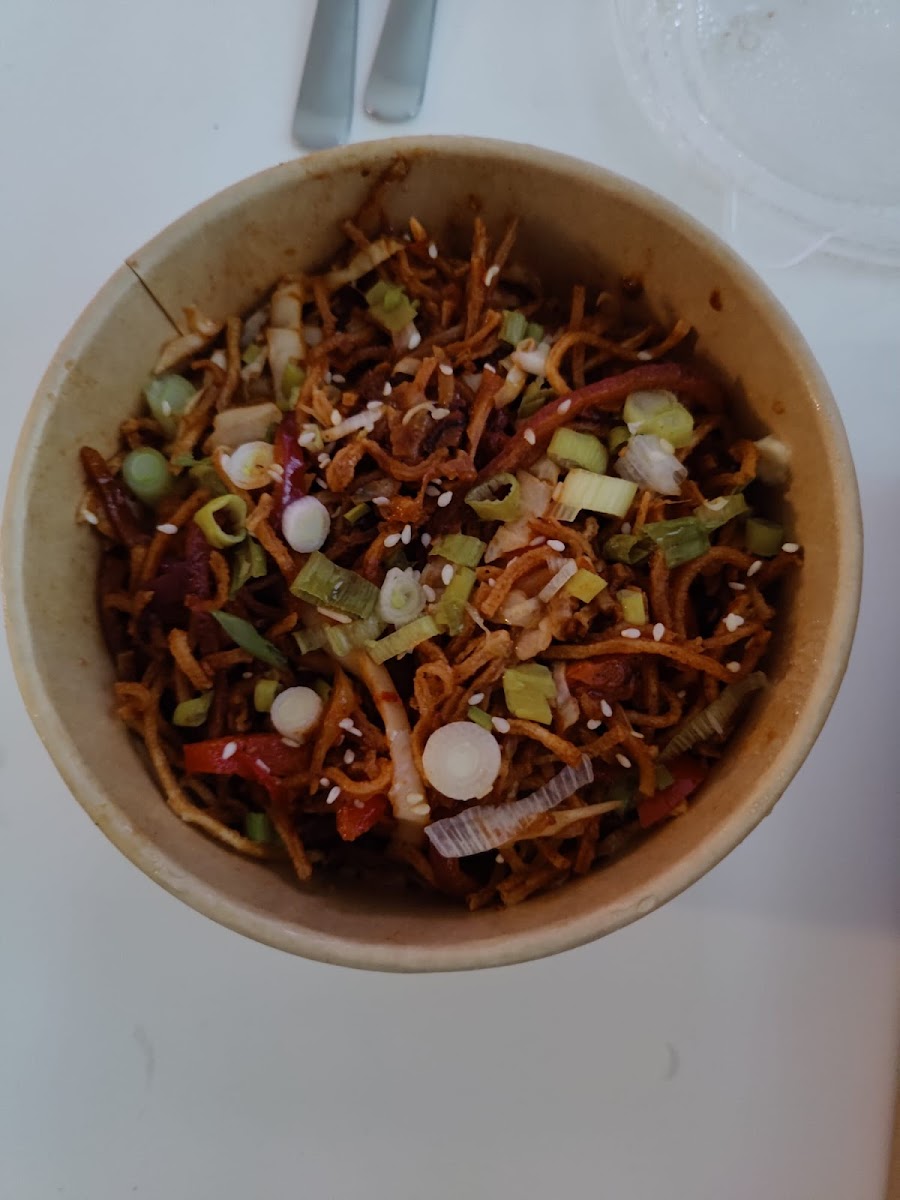 Indo Chinese Street Wok-8
