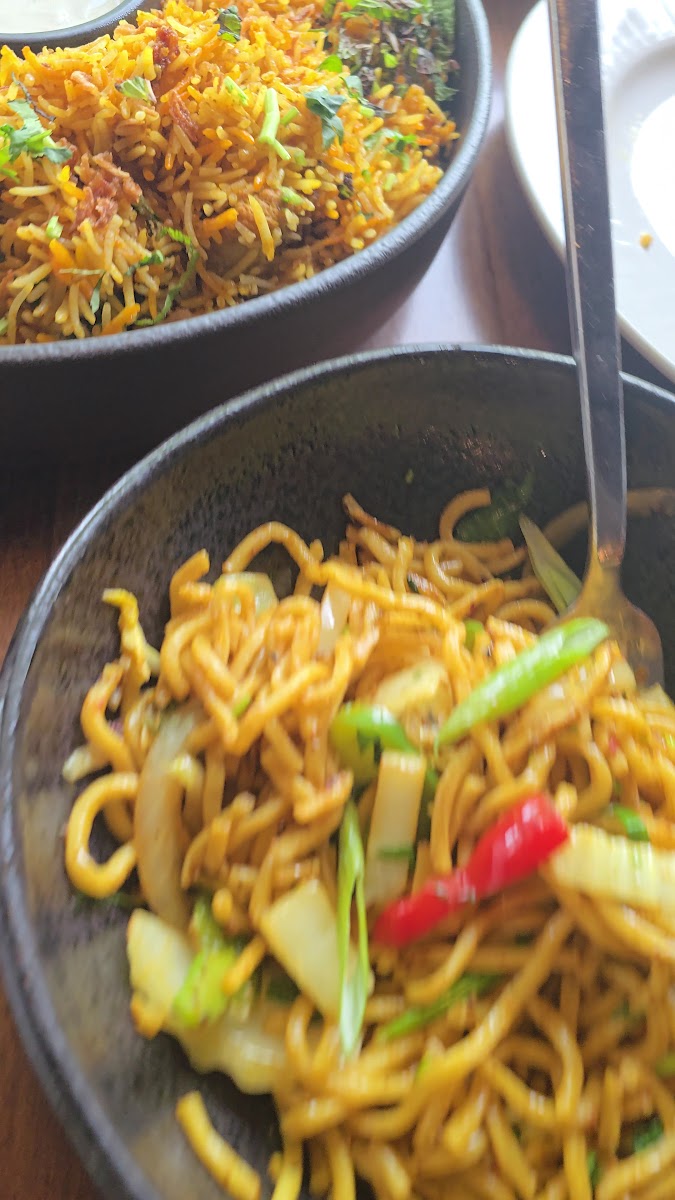 Indochen-2