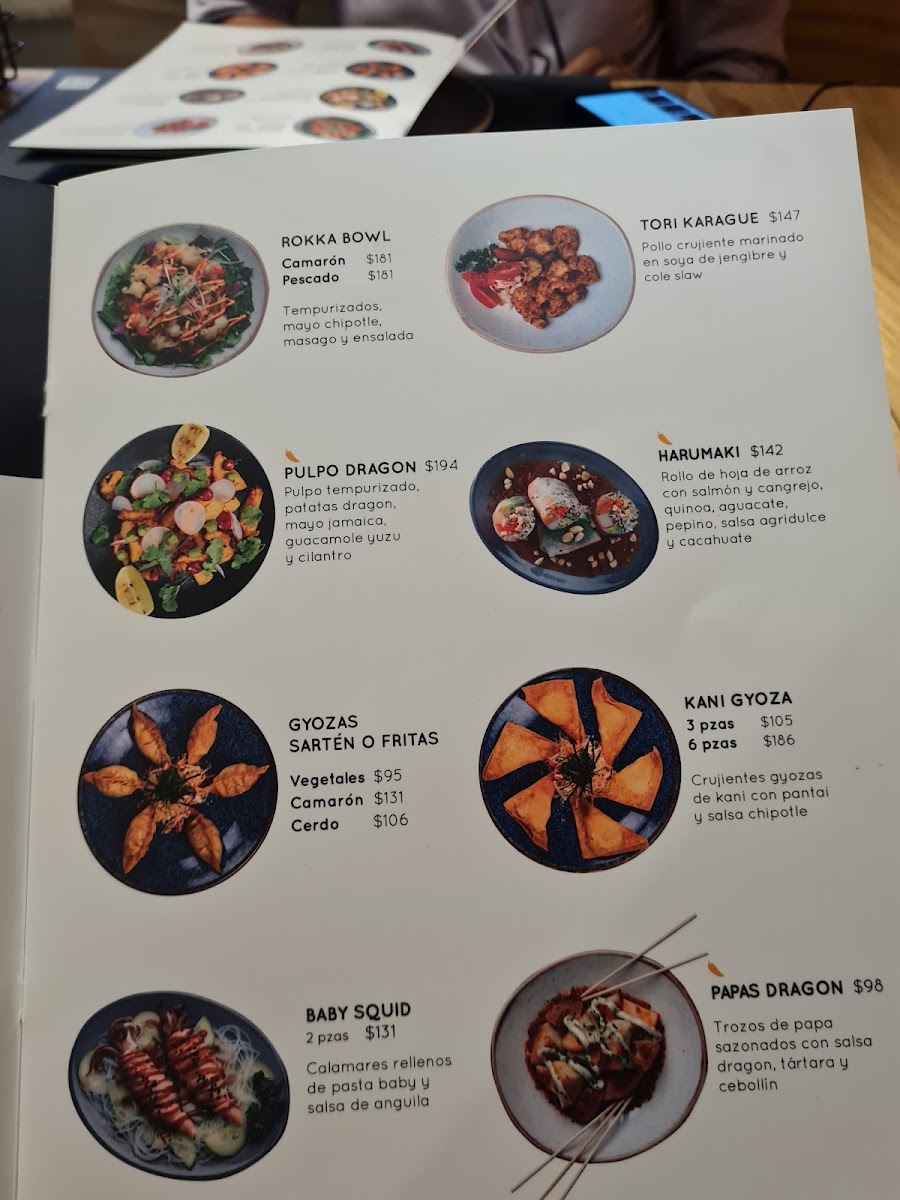 Menu Izakaya Sushi Querétaro-9