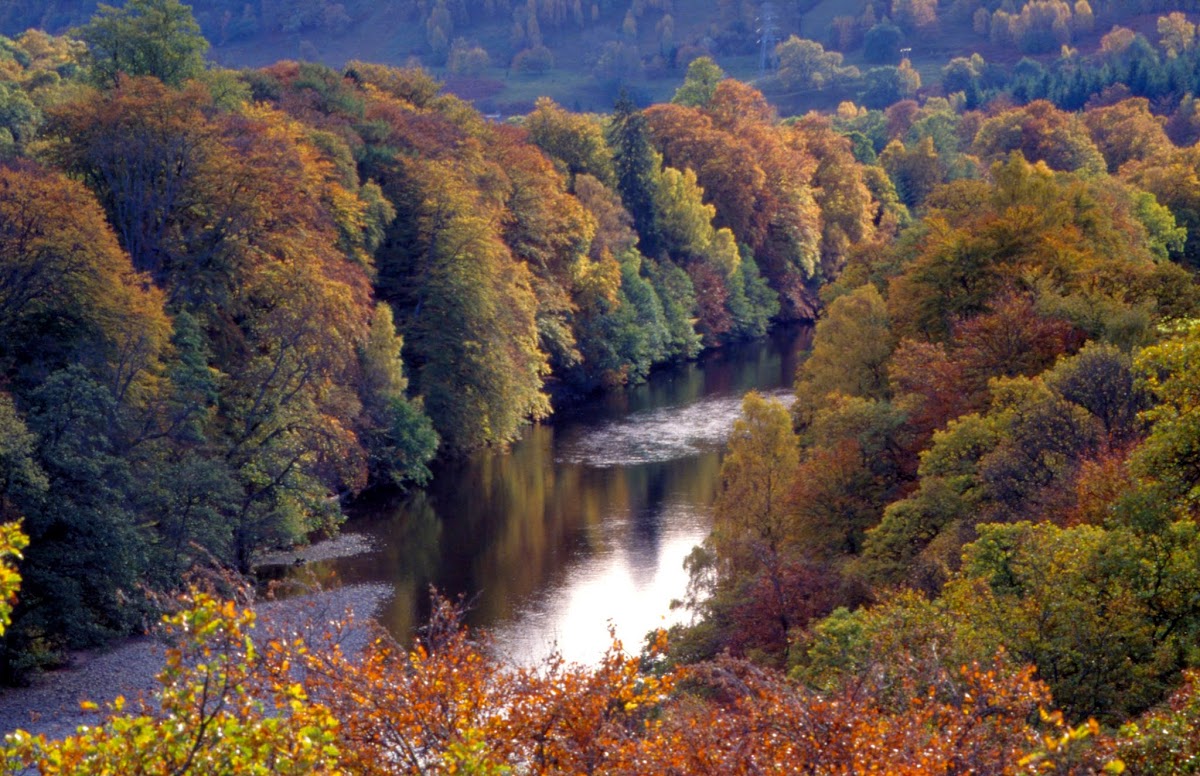 Jacobite Café At Killiecrankie Visitor Centre-3