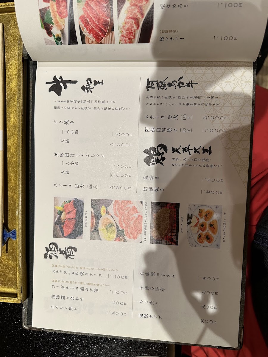 Menu Japanese Restaurant Aoyagi-9
