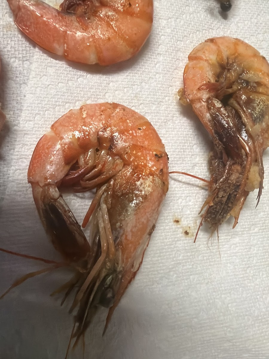 John's Seafood-10