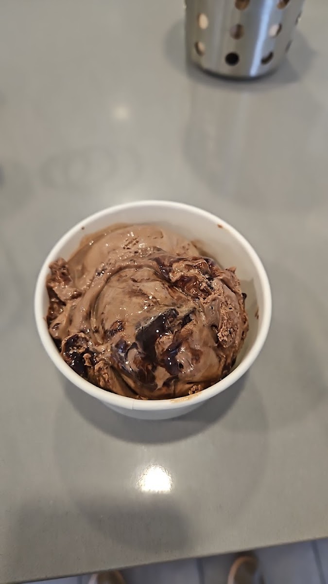 Joma's Artisan Ice Cream-8