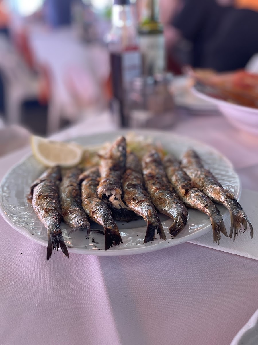 José Cruz Restaurant-7