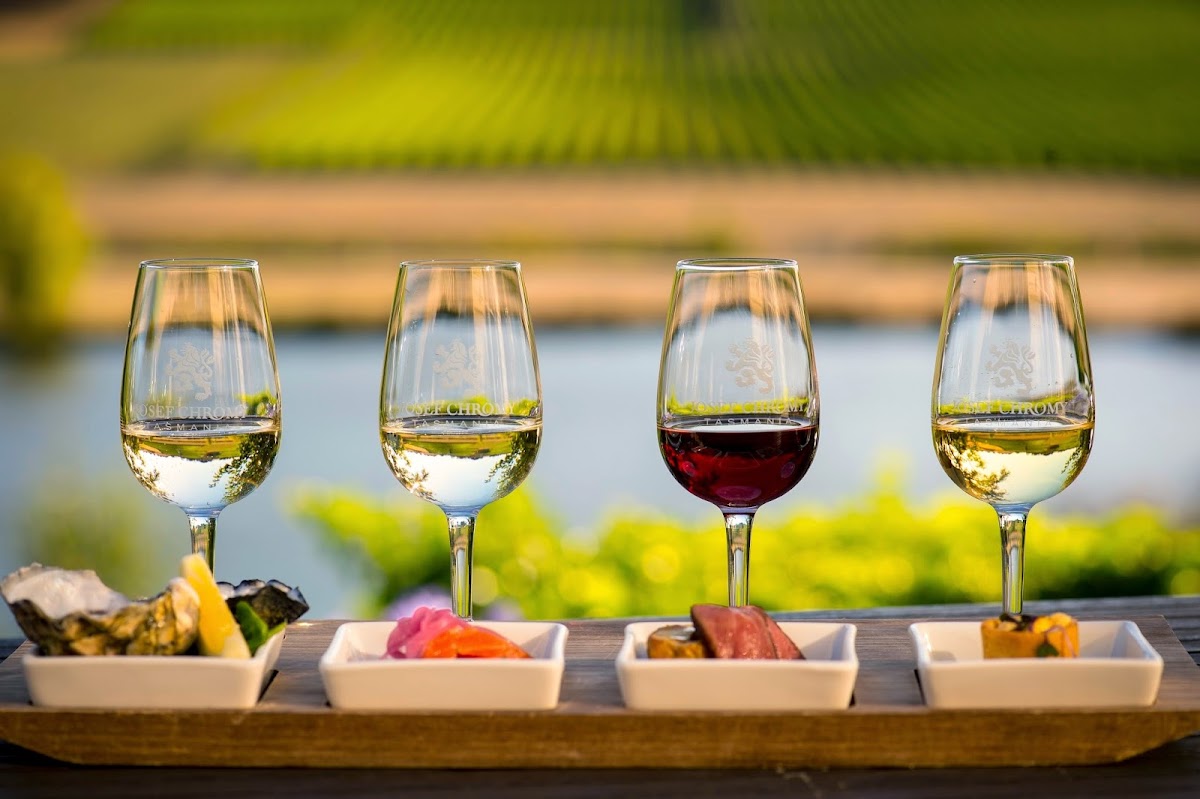 Josef Chromy Wines-3