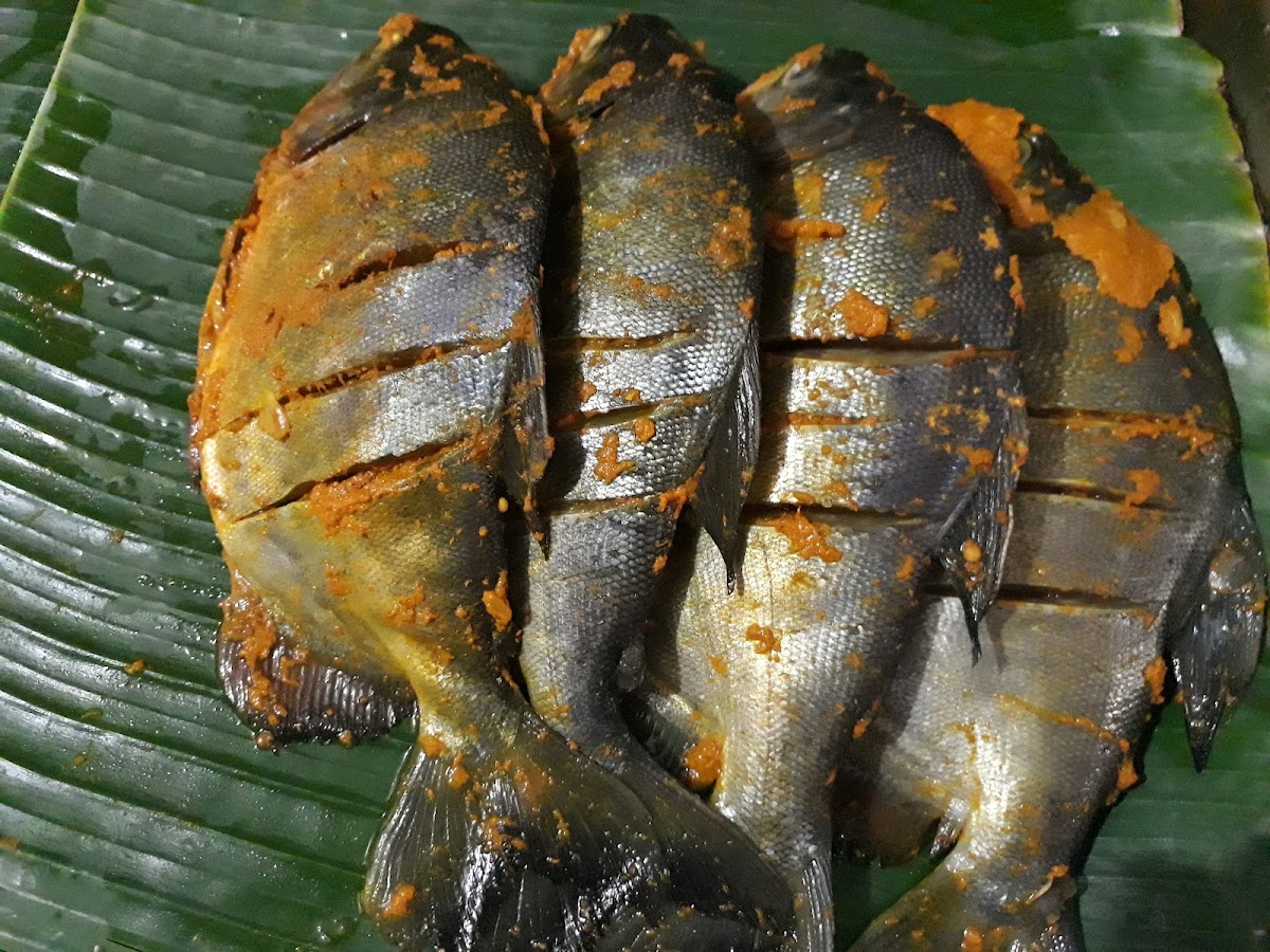 Kampung Kuring-10