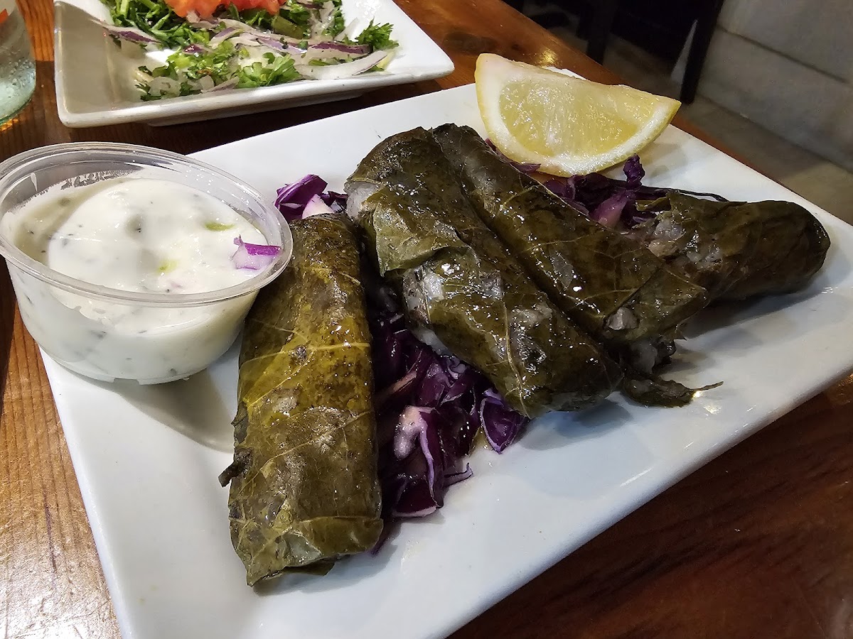 Kareem's Lebanese Kitchen-4