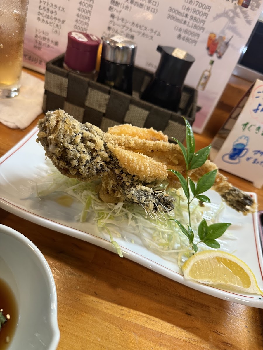 Kashihara-4