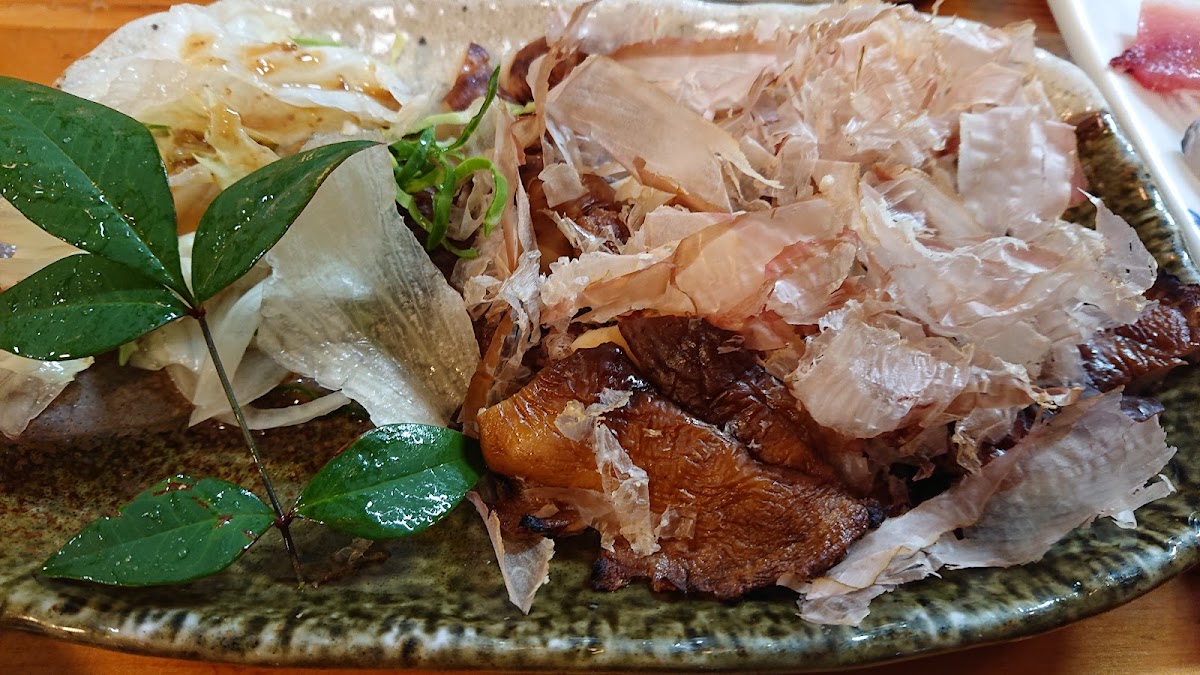 Kashihara-9