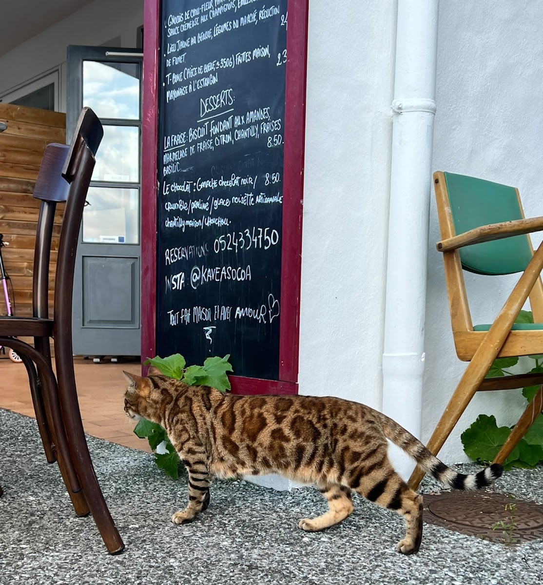 Menu Kavea-8
