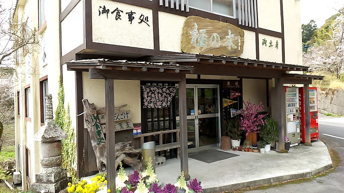 Kayanoki