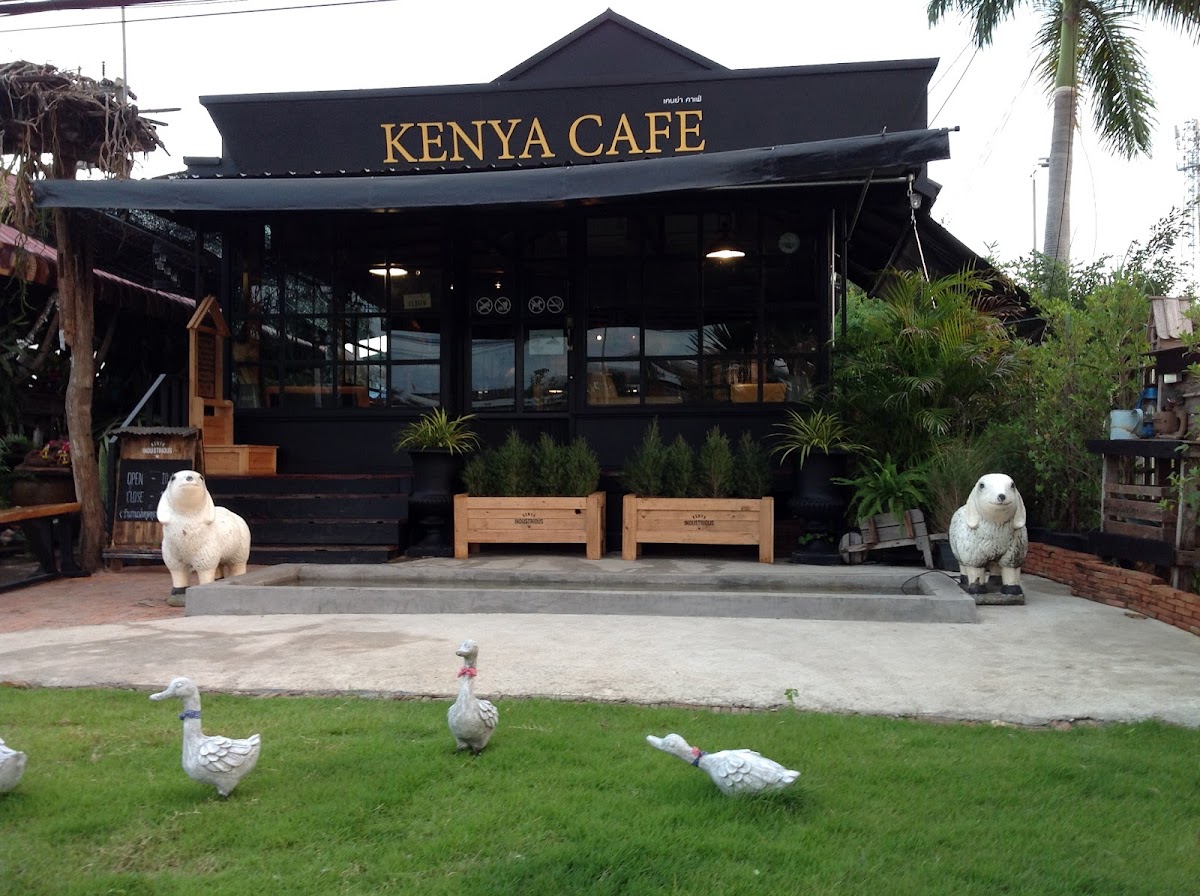 Kenya Coffee