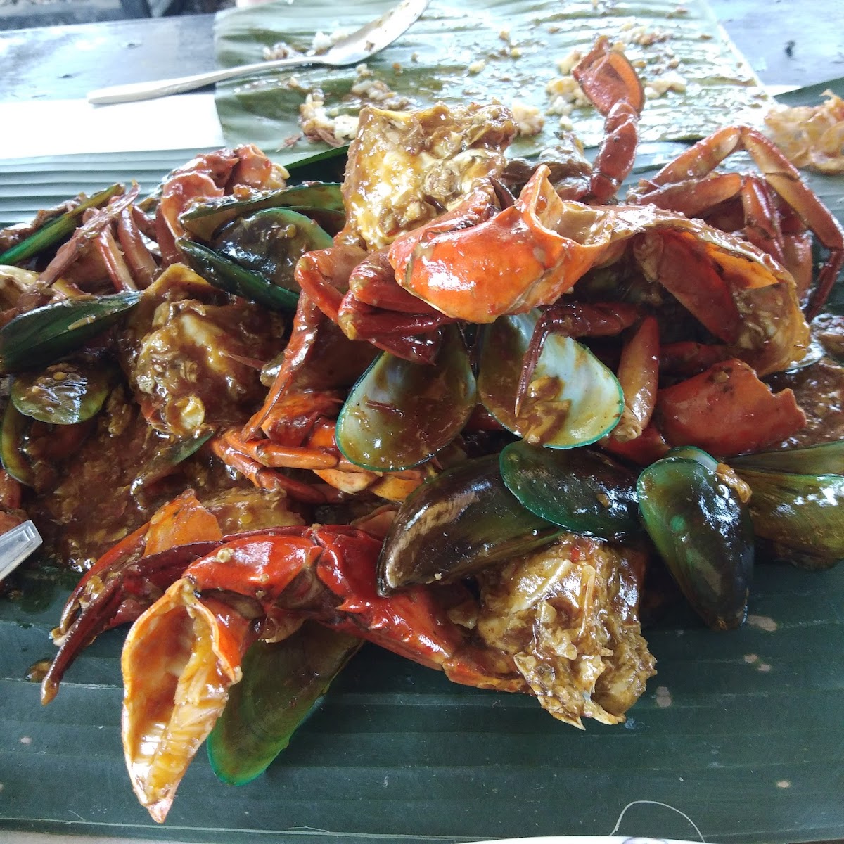 Kepiting Mangas-6