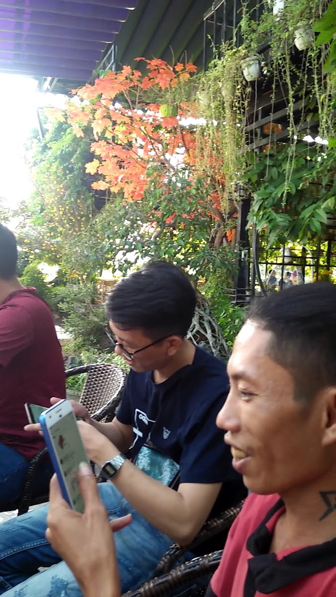King Coffee-2