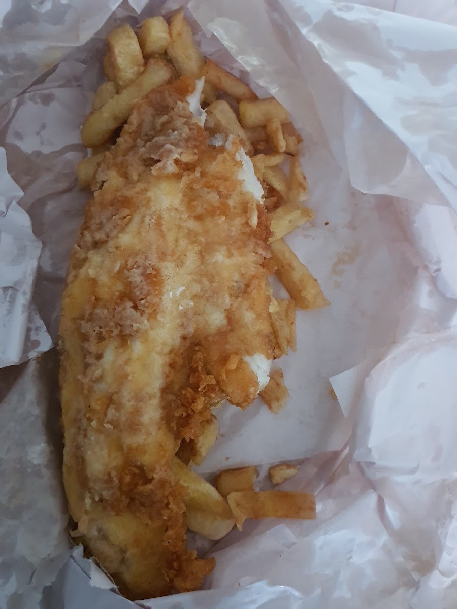 Kingfisher-5
