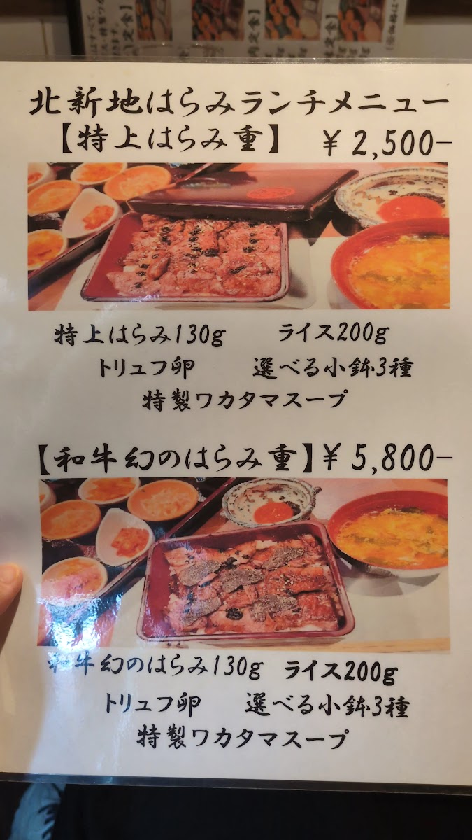 Menu Kitashinchi-Harami Honten-7