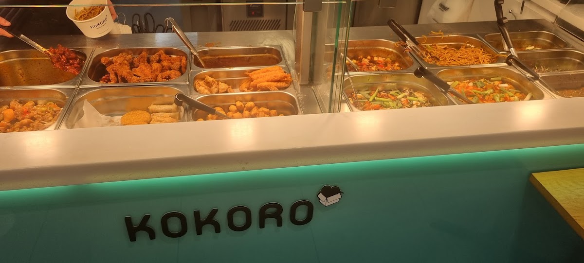 Kokoro Chichester-3