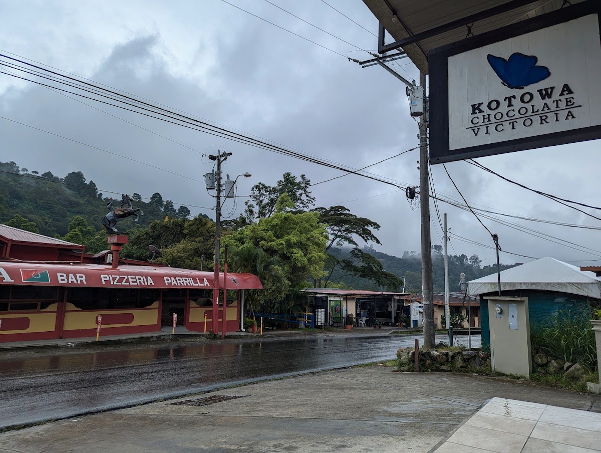 Kotowa Chocolate Victoria