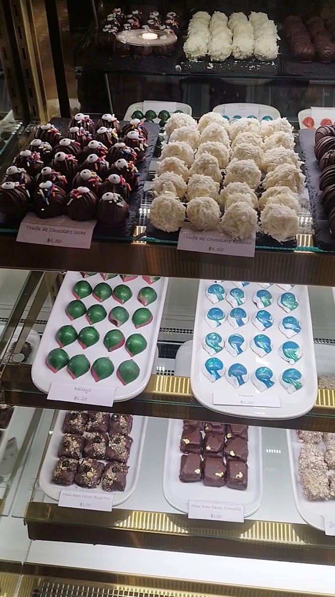 Kotowa Chocolate Victoria-2