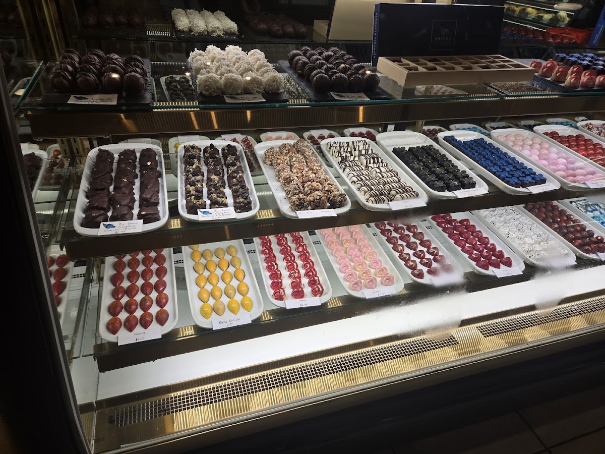 Kotowa Chocolate Victoria-4