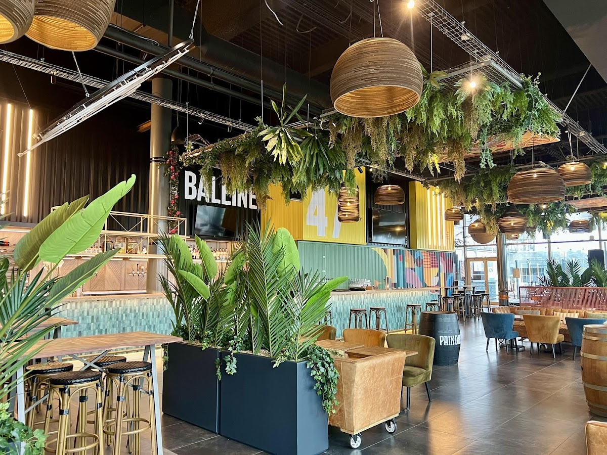 La Baleine Bar - Restaurant - Event