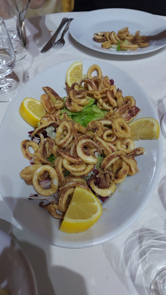 La Fenice-8