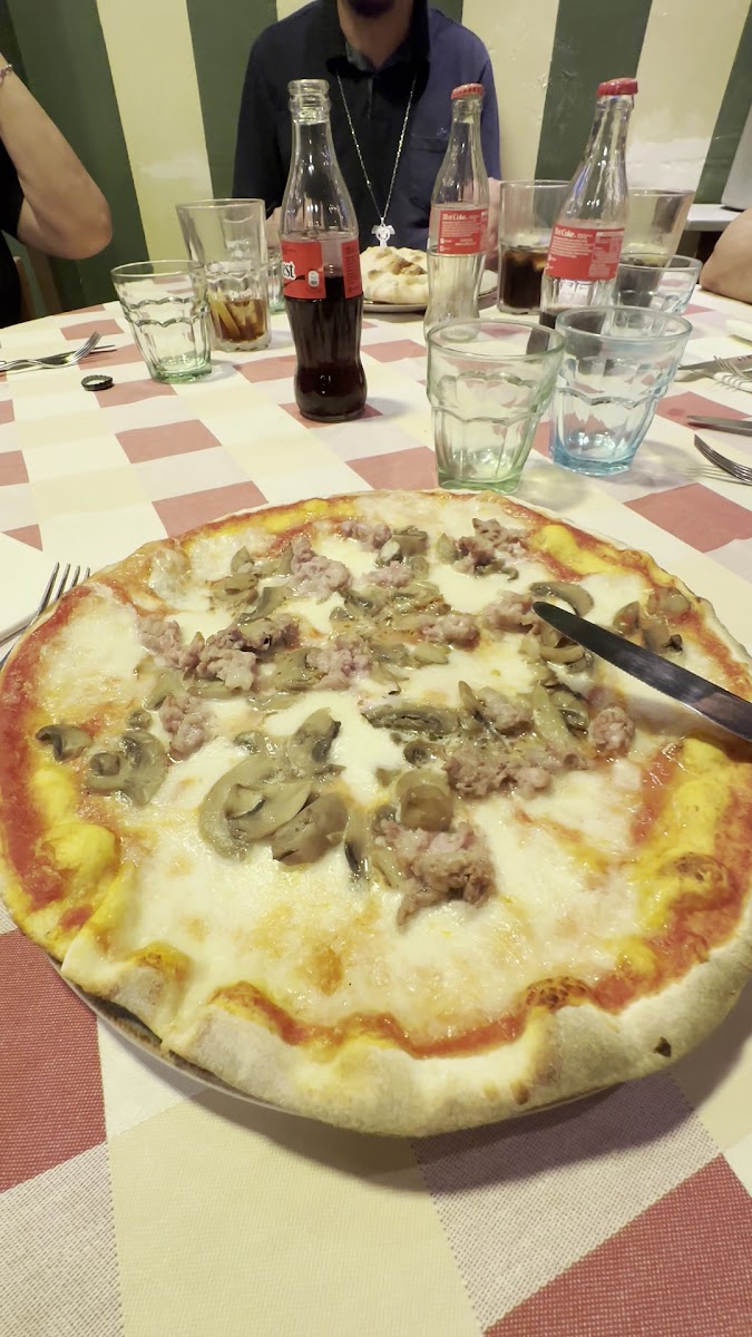 La Fiorentina-2