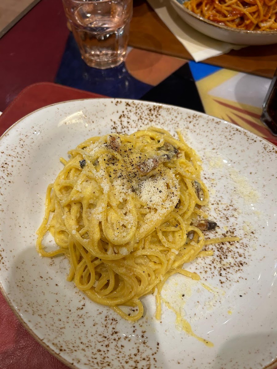La Fiorentina-9