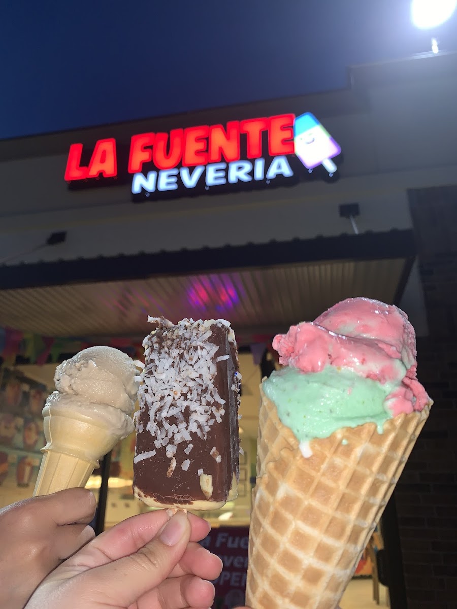 La Fuente Neveria-2