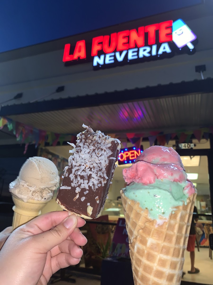 La Fuente Neveria-6