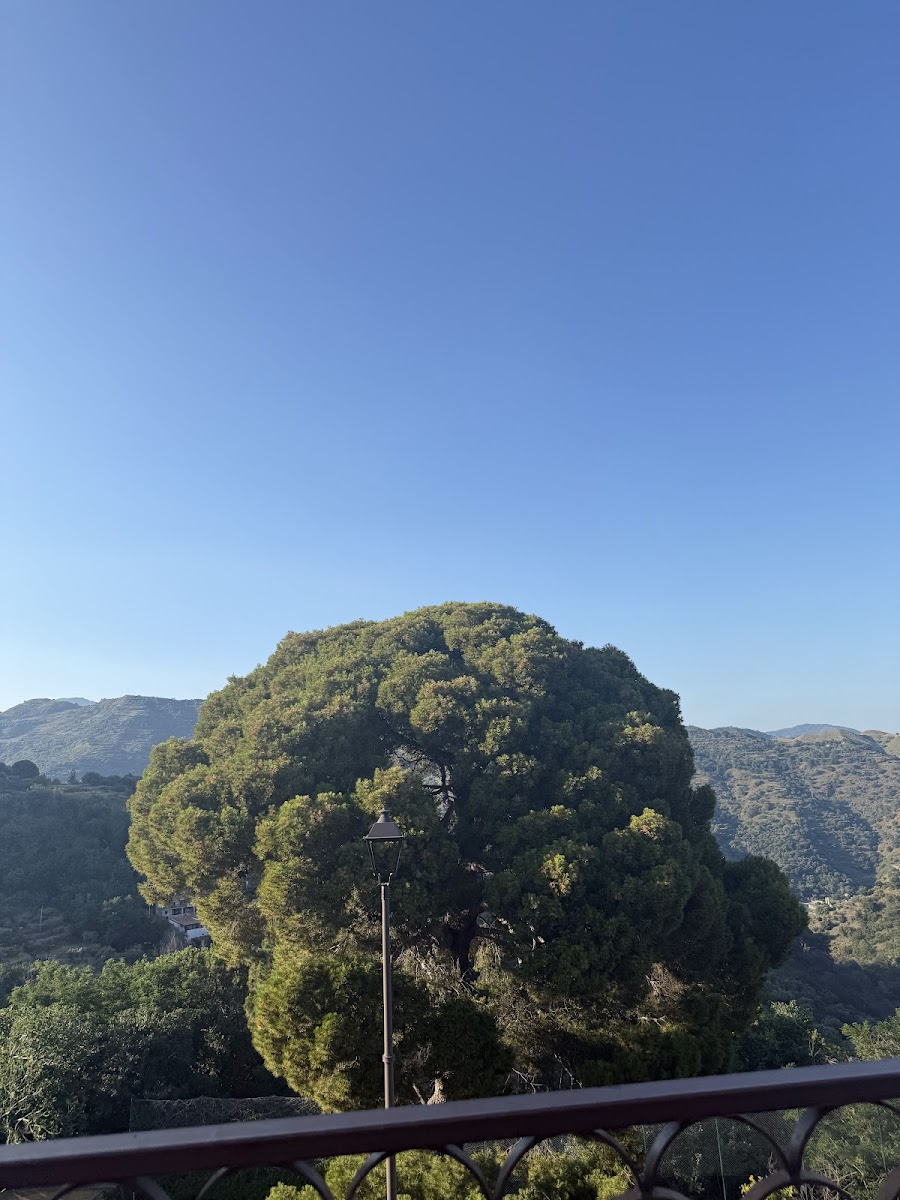 La Pineta Di Garufi Vincenza-3