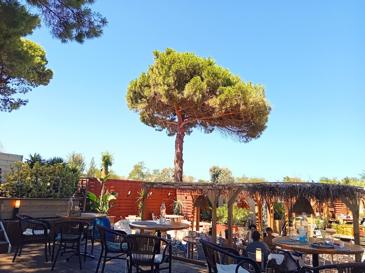 La Piscine Summer Club