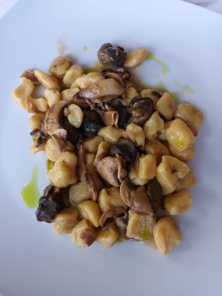 La Vigna Del Maestro-8