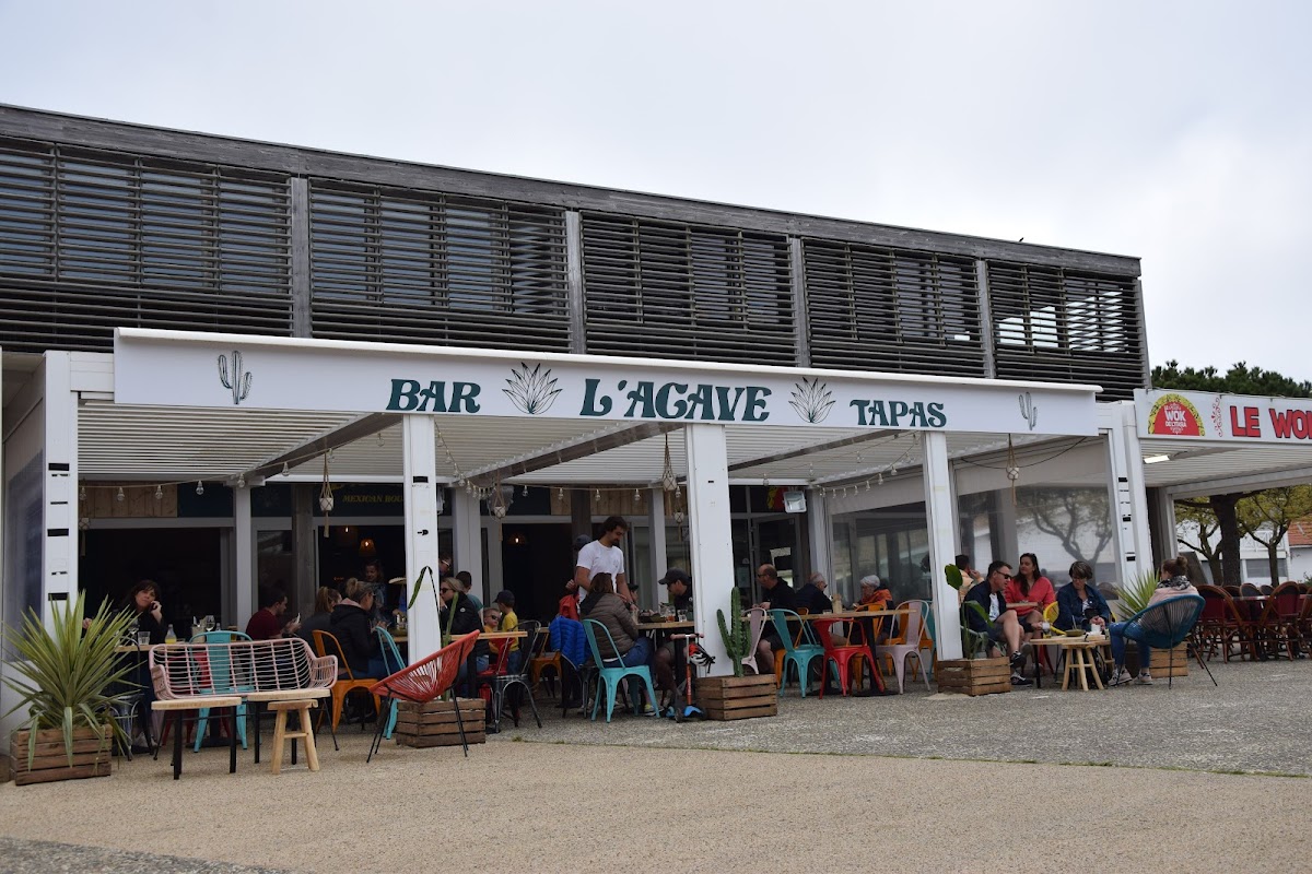 L'agave