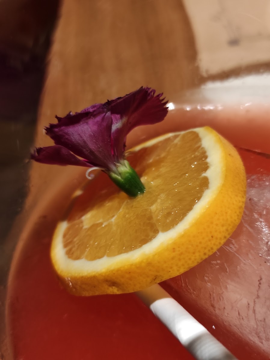 Laidback Cafe - Dlf Avenue Saket-6