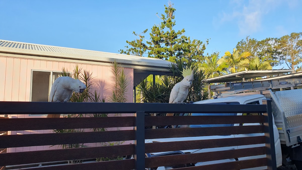 Lake Tinaroo Cafe-2