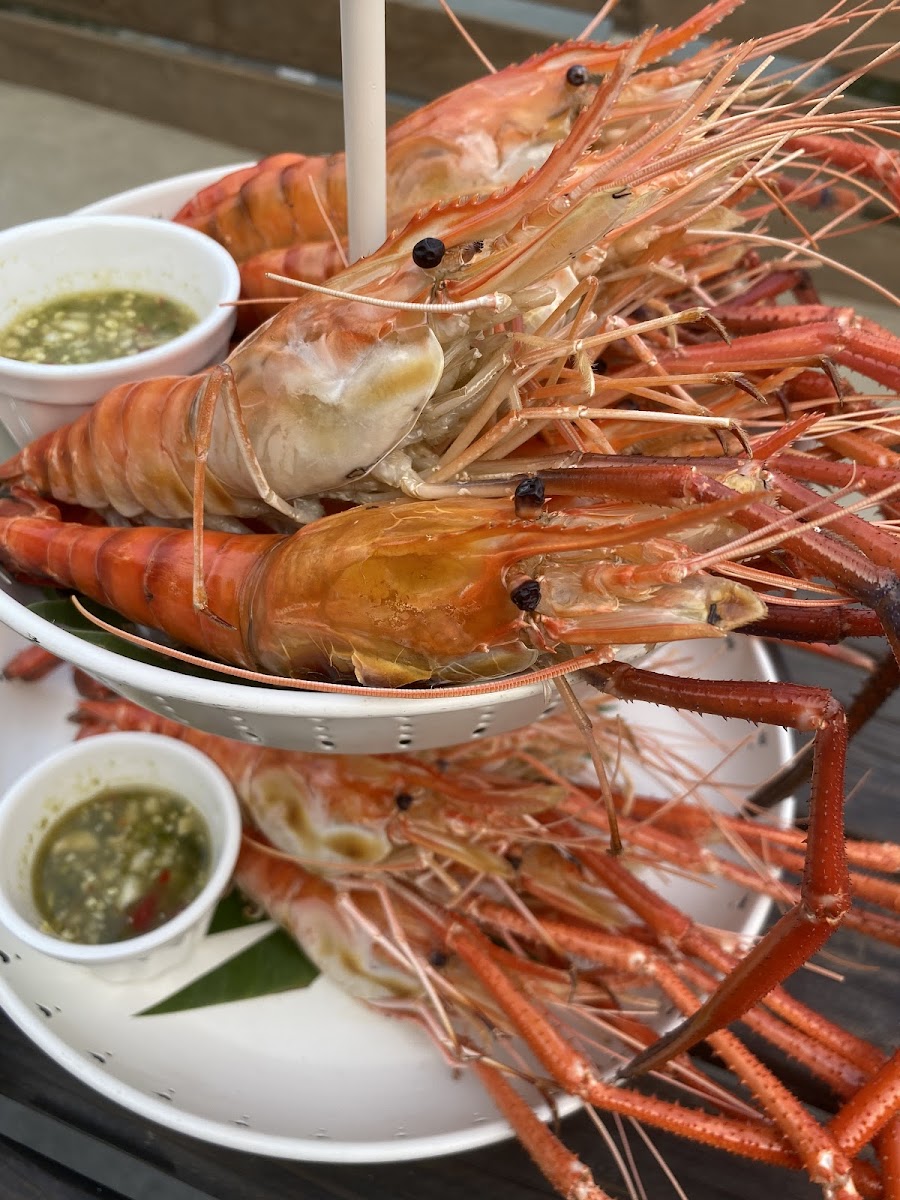 Lakehouse นัว-9