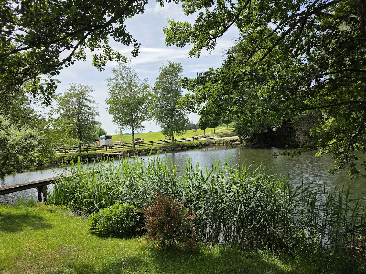 Landgasthof Adler-4