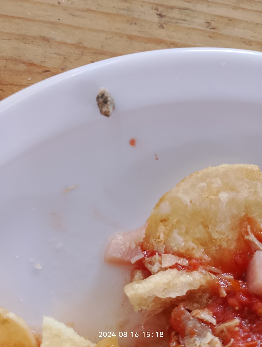 Las Famosas Originales De Jerez & Hotwings-10