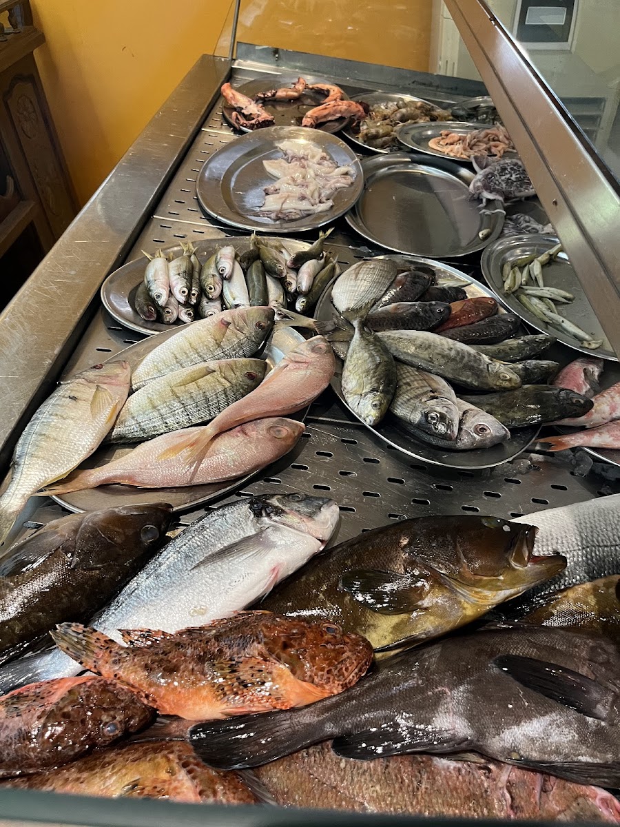 Latsi Fish Tavern-9