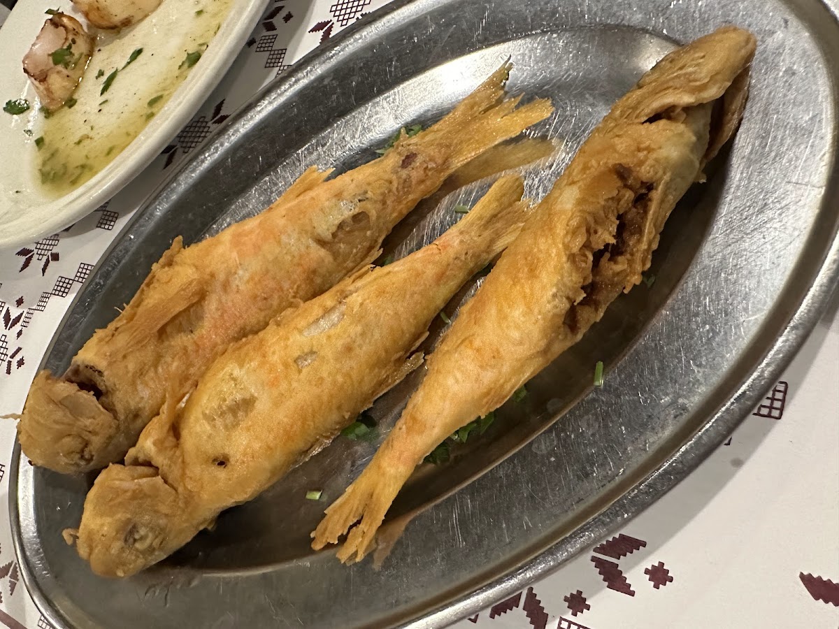 Latsi Fish Tavern-2
