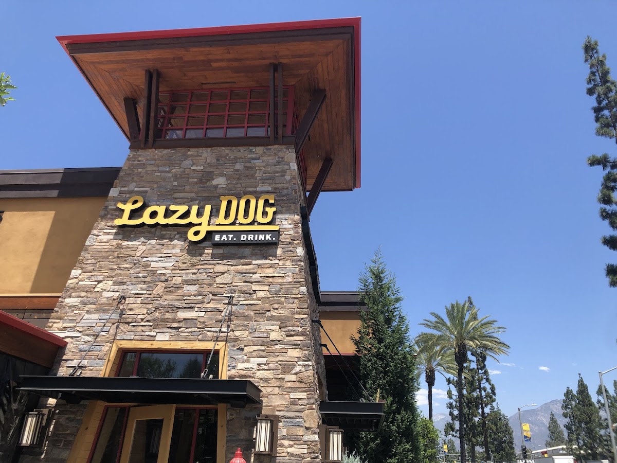 Lazy Dog Restaurant & Bar