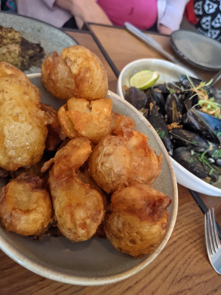 Lazy Lobster Chew Magna-10