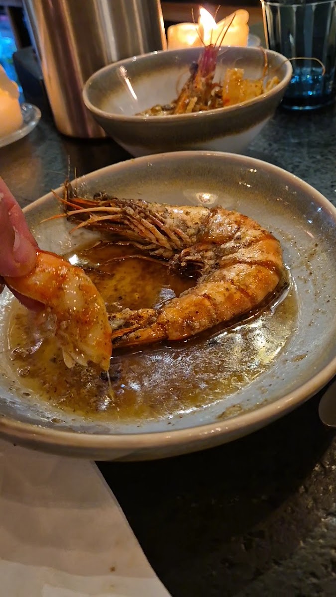 Lazy Lobster Chew Magna-2