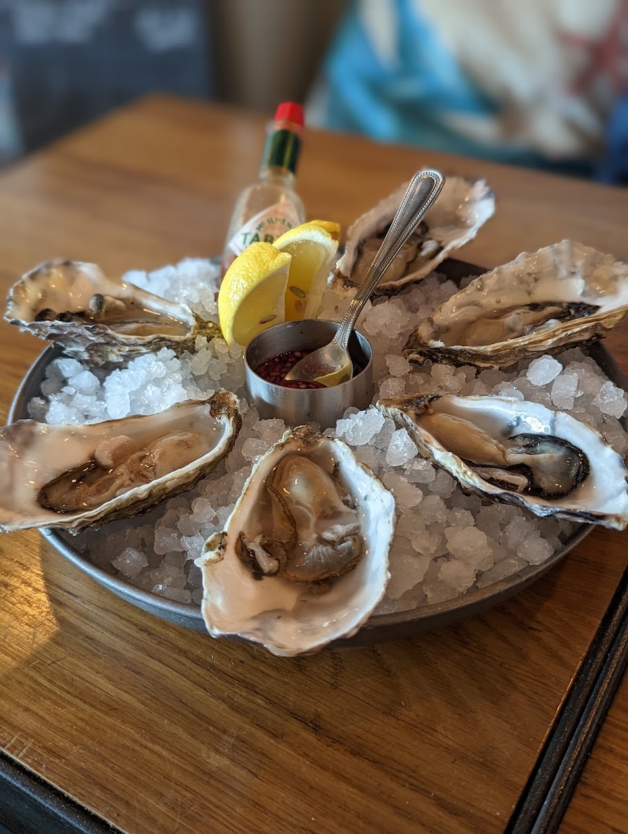 Lazy Lobster Chew Magna-7