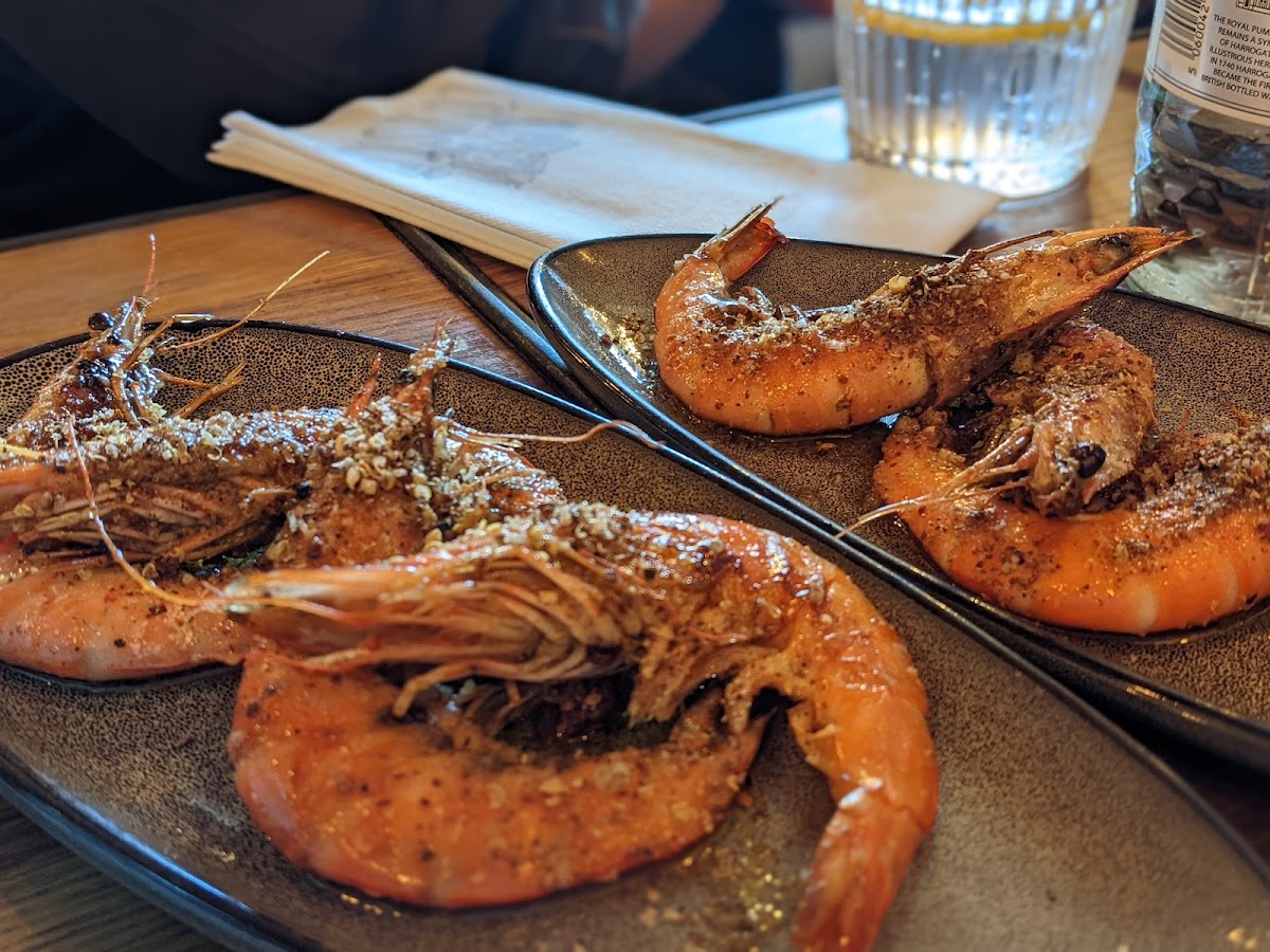 Lazy Lobster Chew Magna-9