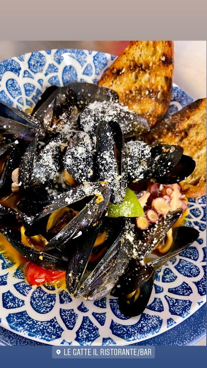 Le Gatte - Ristorante-7
