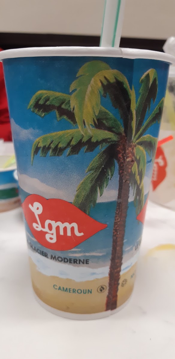 Le Glacier Moderne-7
