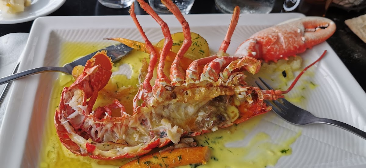 Le Langoustier-5